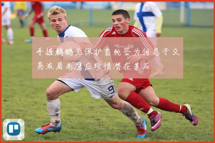 手握鹈鹕无保护首轮签为何急于交易浓眉老鹰应珍惜潜在基石