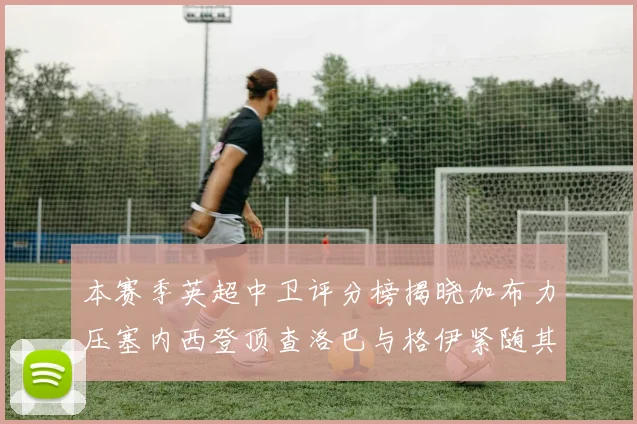 本赛季英超中卫评分榜揭晓加布力压塞内西登顶查洛巴与格伊紧随其后